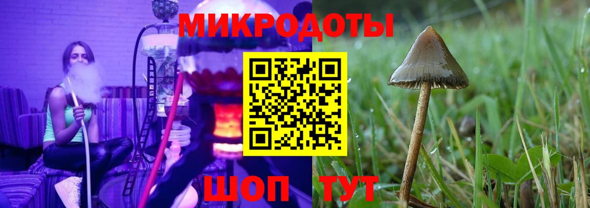 Псилоцибиновые грибы прущие грибы Рубцовск